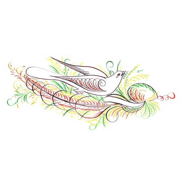 Watercolor drawing of a bird and a feather in retro modern style, made with a thin feather