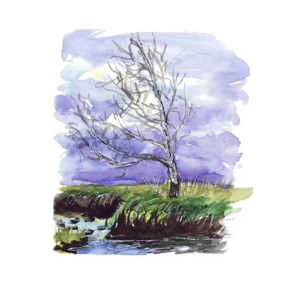 Watercolor sketch - birch beside the river on a cloudy day at sunset