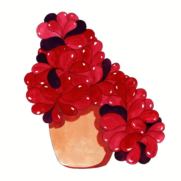 Friss virágok a belső dekoráció edények rózsaszín lila piros bordó lila. Állítsa akvarell illusztráció. Hemigraphis alternata — Stock Fotó