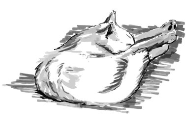 Beyaz mutlu kedi siyah beyaz grafik hızlı çizim işaretleyiciler el çizim çizim illüstrasyon