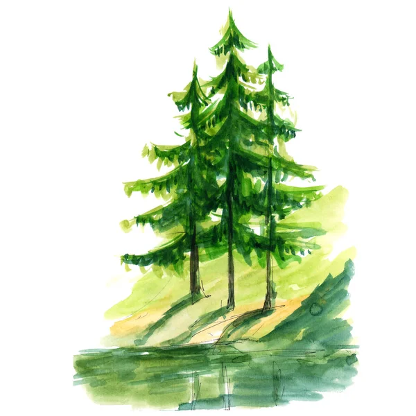 Fir trees on a steep shore near the water - quick watercolor illustration, spring fresh greens — Stock Photo, Image