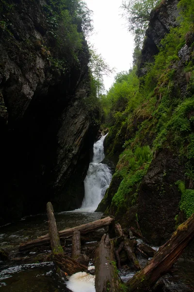 Cascada inaccesible en el bosque entre la vegetación de árboles de piedra en la garganta de las montañas —  Fotos de Stock