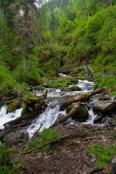 Unzugänglicher Wasserfall im Wald inmitten der grünen Steinbäume in der Gebirgsschlucht — Stockfoto