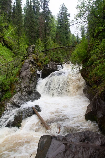 Unzugänglicher Wasserfall im Wald inmitten der grünen Steinbäume in der Gebirgsschlucht — Stockfoto