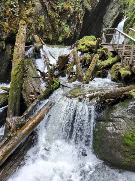 Unzugänglicher Wasserfall im Wald inmitten der grünen Steinbäume in der Gebirgsschlucht — Stockfoto