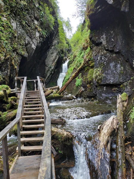 Holzstufen Straße zu einem Wasserfall inmitten eines dichten Märchenwaldes in einer Gebirgsschlucht — Stockfoto