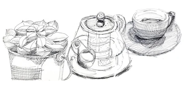 Glass teapot and cup with tea near a succulent cactus flower - hand-drawn illustration with a black liner. Panorama — 스톡 사진