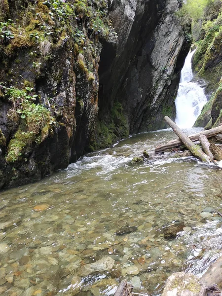 Unzugänglicher Wasserfall Wald Inmitten Des Grüns Von Steinbäumen Der Bergschlucht — Stockfoto