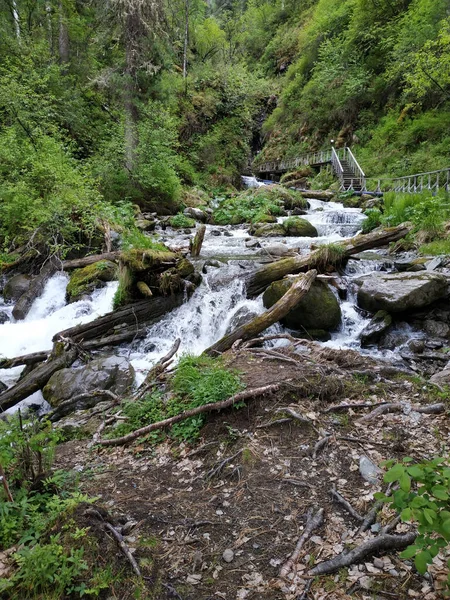Cascata Inaccessibile Nella Foresta Tra Verde Alberi Pietra Montagna Gola — Foto Stock