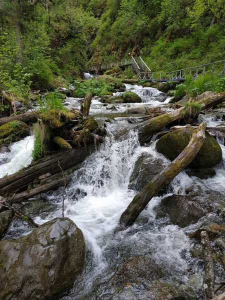 Unzugänglicher Wasserfall Wald Inmitten Des Grüns Von Steinbäumen Der Bergschlucht — Stockfoto