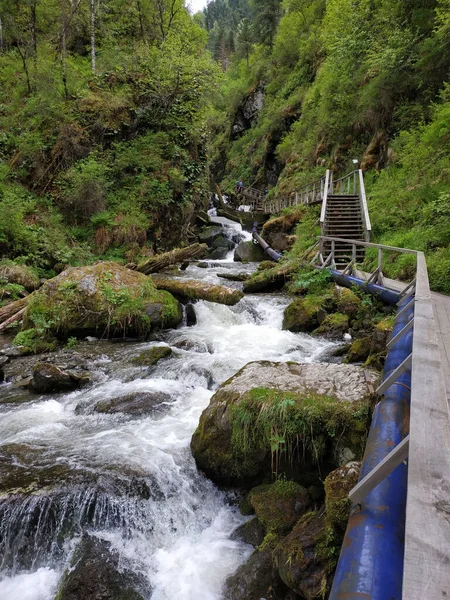 Unzugänglicher Wasserfall Wald Inmitten Des Grüns Von Steinbäumen Der Bergschlucht — Stockfoto