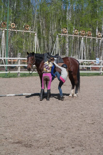 Novosibirsk, Rusya - 10 Mayıs 2015: Binicilik dersi - bir çocuğa ata binmeyi öğretmek, ilk ders, ata binen bir kız, bir eğitmen