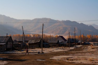 Sonbahar sarı ve turuncu yolları tarlalar ve geçitler arasında - Altai dağının manzaraları