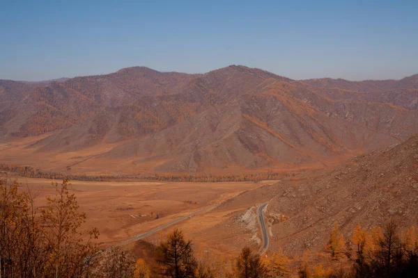 Autumn Yellow Orange Road Fields Mountains Pass Landscapes Mountain Altai — Stock fotografie