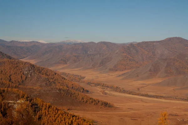 秋天黄橙色的道路穿过田野和山脉 到达阿尔泰山的风景 — 图库照片