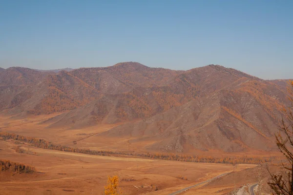 Autumn Yellow Orange Road Fields Mountains Pass Landscapes Mountain Altai — Stock fotografie