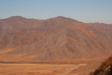 Sonbahar sarı ve turuncu yolları tarlalar ve geçitler arasında - Altai dağının manzaraları