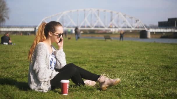 전화에 잔디에 매력적인 매력적인 귀여운 전화로 대화를 말하는 백그라운드에 다리에 — 비디오