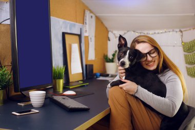 Köpekli bir kız evinde, masasının yanında oturuyor. Serbest meslek arasındaki kız bir köpekle oynanıyor. Bir kız evde öğrenir, kollarında bir köpek. Bilgisayar yeşili ekran