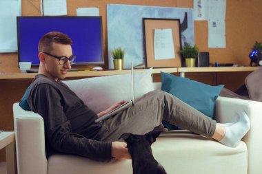 Bir adam kanepede oturur ve dizüstü bilgisayarda çalışır. Sade bir atmosfer, köpek araya girer, sahibini eğlendirir. Evde çalışan bir adam. Serbest çalışan bir adam TV programları izler, ekranda, evden alışveriş yaparken. Köpek..