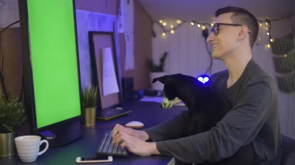 Pes Sedí Mužských Rukou Muž Pracuje Doma Tvůrce Pracuje Doma — Stock video