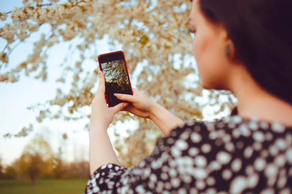 Ein Mädchen Fotografiert Einen Baum Mit Blumen Ein Foto Telefon — Stockfoto