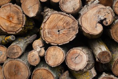 Yakacak odun desen, arka plan veya doku.