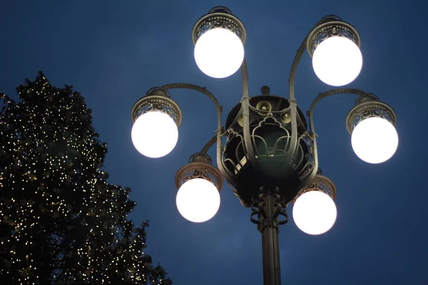 Street Light Night Christmas Tree Blue Sky Background Piazza Duomo — Stock Photo, Image