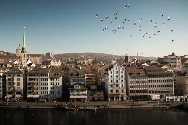 Paesaggio Lungo Fiume Zurigo Con Uccelli Che Volano Nel Cielo — Foto Stock