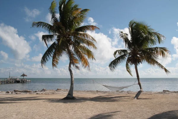 Praia Ensolarada Com Palmeiras Uma Rede Florida Keys Eua — Fotografia de Stock