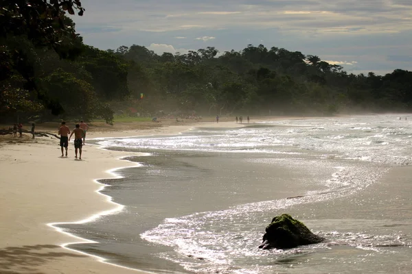 Bastimentos Plajı, Bocas del Toro, Panama.