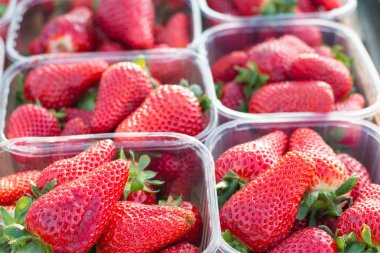 Plastik kutular veya sepet Market'teki taze çilek.