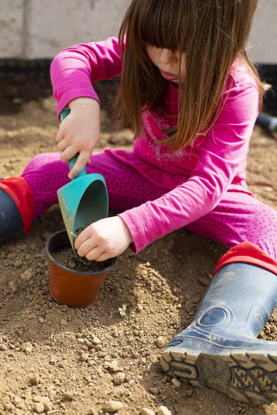 Little caucasian child girl, sitting in her garden, planting a plant in a pot with a scoop during covid-19 lockdown. Outdoor idea activity for children at home in pandemic restrictions. Vertical shot.