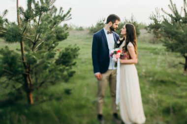 mutlu genç gelin ve damat açık havada kucaklayan 