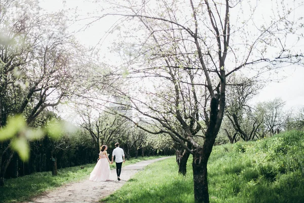 Jovem Casal Recém Casados Andando Jardim Primavera — Fotografia de Stock