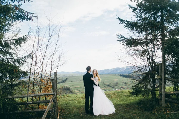 Jovem Casal Recém Casados Posando Montanhas — Fotografia de Stock