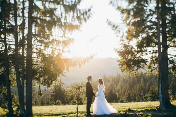 Joven Pareja Recién Casados Tomados Mano Aire Libre — Foto de Stock