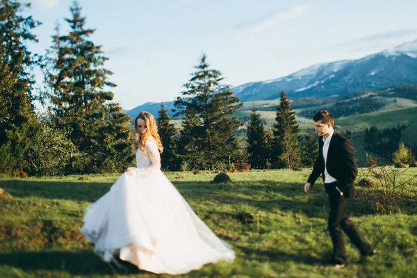 Junges Brautpaar Beim Wandern Den Bergen — Stockfoto
