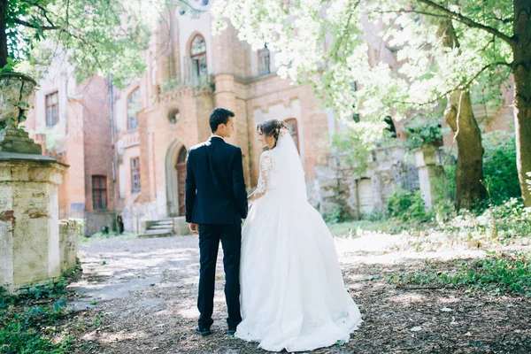 結婚式のカップルの素晴らしい古城近くのポーズ — ストック写真