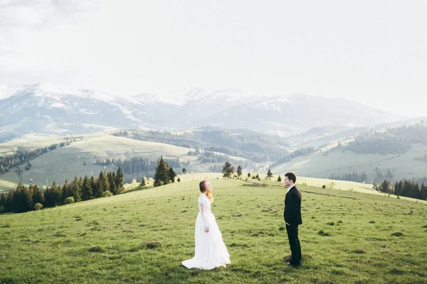 Jovem Casal Recém Casados Posando Montanhas — Fotografia de Stock