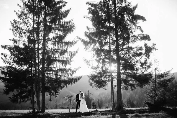 Cuplu Tânăr Fericit Proaspăt Căsătoriți Pozând Pădure — Fotografie, imagine de stoc