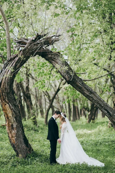 Joven Pareja Recién Casados Posando Hermoso Jardín — Foto de Stock