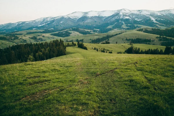 Toller Blick Auf Die Berge Schöne Landschaft — kostenloses Stockfoto