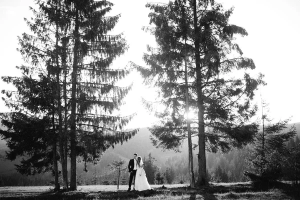 Feliz Joven Pareja Recién Casados Posando Bosque — Foto de Stock