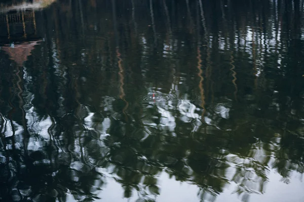 숲에서 호수입니다 — 스톡 사진