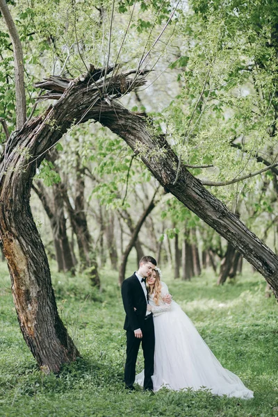 Junges Brautpaar Posiert Schönen Garten — Stockfoto