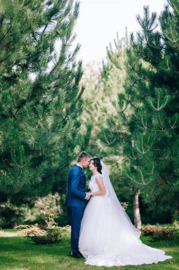  bahar bahçe içinde el ele tutuşarak yeni evli genç Çift 