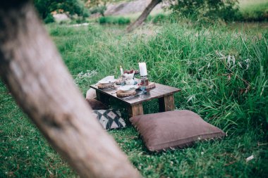 Bahçe içinde güzel romantik piknik 