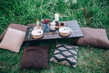 Bahçe içinde güzel romantik piknik 
