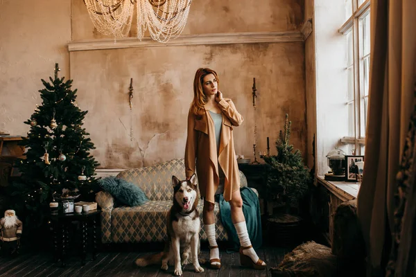 Молода Красива Жінка Собакою Різдво — стокове фото